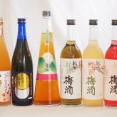 スペシャル梅酒6本セット(高千穂産梅使用熟成梅酒 手作り梅酒(宮崎県) 赤しそ赤い梅酒(和歌山) 芳醇ブランデー仕立チョーヤ梅酒 無添加上等梅酒(鹿児島) 緑茶梅酒(和歌山)) 720ml×6本