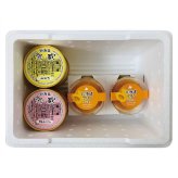 乳蔵 アイスとマンゴープリン (120048) [お中元][お歳暮] ※送料無料(北海道・沖縄・離島への配送不可)