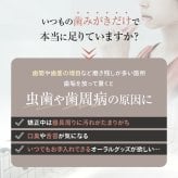 口腔洗浄器 オムニ アクアウォッシャー タンクレス 4種類ノズル 4モード ジェットウォッシャー 水流ケア 歯間ケア 歯周ノズル 歯列矯正ノズル 舌クリーナー 軽量165g スリム コンパクト USB Type-C充電 携帯用 旅行 父 母 ご両親 敬老の日 誕生日 プレゼント ギフト