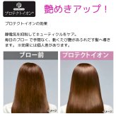 テスコム   ドライヤー   TID2250   大風量    2立方メートル/分の速乾大風量で､マイナスイオンとプラスイオンが静電気抑制 3段階切替(速乾ターボ､ドライ､セット)    ブラック/レッド   プレゼント