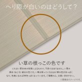 夏ラグ 夏用カーペット 置き畳 半畳 国産 い草 簡単 和室 約82×82cm 12枚組