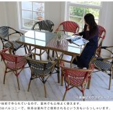 ガーデンテーブル ラウンドテーブル単品販売「プレジール」 簡単組立 PEラタン テラス 庭 レッド ブ アルミ モダン ラウンド イングリッシュガーデン ファニチャー シンプル 欧州 インテリア 家具 ガーデン カフェ 屋外テーブル 新生活