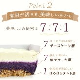 ＼早割！／ クリスマスケーキ クリスマスプレゼント 予約 2026 紫芋 チーズケーキ 取り寄せ ケーキ 冷凍 チーズ レアチーズケーキ チーズタルト タルトケーキ お取り寄せ ホール 紫芋 冷凍 1人 2人 3人 スイーツ お菓子 洋菓子 可愛い かわいい おしゃれ おいもや
