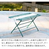 テーブル アイアン製ロー 単品販売 「Sunny Leaf サニーリーフ 」 SPL-9003 新生活