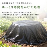 切り株処理剤 スタンプロット 400g 単品 2個セット 切り株の処理 切り株除去 繊維分解 ガーデニング 庭 手入れ 庭木 樹木 根株 木の根 除去 顆粒タイプ 水に溶ける 庭のお手入れ 枯れ木処理 園芸用品 伐採後 処理 切株処理 抜根補助 日本製