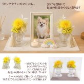  ペット お供え お悔やみ 花 プリザーブドフラワー アレンジメント 一対 小さなお供えプリザ 選べるカラー 6色 贈り物 犬 猫 お供えギフト お花 仏花 仏壇花 ミニアレンジ 送料無料
