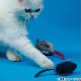 ジョイサー JOYSER サウンドチップマウス ブルー 猫用おもちゃ ブルー