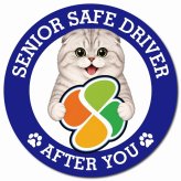 カーサイン 高齢者マーク SENIOR SAFE DRIVER スコティッシュフォールド マグネット 強力 直径13cm 肉球 日本製 車 ステッカー
