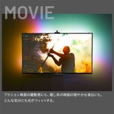 テレビ台 テレビボード シンクロビジュアルライト Lサイズ LED間接照明 シアターライト ホームシアター DVD鑑賞 調光 調色 部品 パーツ おしゃれ インテリアテレビスタンド 壁寄せ