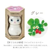 COROCORO cat（コロコロキャット）首をかしげて表情を楽しむ猫型栽培キット バジル ミント ワイルドストロベリー 植物 グリーン スターターセット オブジェ 置物 おしゃれ インテリア 雑貨 ギフト プレゼント 男性 女性 誕生日 ラッピング対応 無料ラッピング