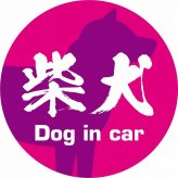 Dog in car ドッグインカー ステッカー カーステッカー 柴犬 毛筆書体 ピンクパープル シール 煽り運転対策 カーサイン