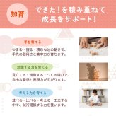 【名入れ】【かたち積み木】【出産祝い】【1歳誕生日プレゼント】【動物（ゾウ・キリン・チーター・ワニ）】【4個セット】木のおもちゃ/木製玩具/無塗装/ごっこあそび/収納袋入り/赤ちゃん/男の子/女の子 『ブロットプロジェクト|PICTO TSUMIKI - Savannah』