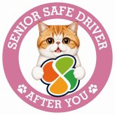 カーサイン 高齢者マーク SENIOR SAFE DRIVER エキゾチックショートヘア ステッカー シール 直径13cm 肉球 日本製 車