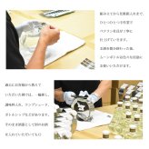 秋の晩酌 希少 限定酒 日本酒 純米大吟醸 月見酒の上善如水 ジョウゼンミズノゴトシ 500ml 白瀧酒造 12本限定 Alc.15度以上16度未満 ムーンボトル 化粧箱入り ギフト プレゼント 贈答 お祝い 誕生日 限定酒 冷酒 秋 季節限定