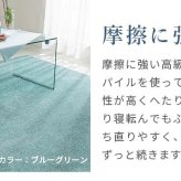 夏ラグ 夏用カーペット ラグ ラグマット カーペット 夏用 夏 接触冷感 絨毯 防臭 正方形 長方形 防虫 防ダニ 北欧 柄 おしゃれ 可愛い 洗える シャギーラグ オールシーズン 遊び毛が出にくい HOT対応・床暖房対応 低ホルムアルデヒド
