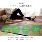 夏ラグ 夏用カーペット ラグ 純国産 国産 日本製 い草 抗菌防臭 自然素材 モダン 『DXカラフルブロック』 約191×250cm