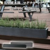 植木鉢 大型 おしゃれ 長方形 横長 ロング プランターボックス KONTON マグナス レクト 底穴あり 屋外 ファイバーポリストーン L M グレー ブラック 幅200 グラス 寄せ植え モダン ベランダ 窓辺 玄関 テラス 店舗 間仕切り 並べ置き