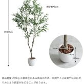 照明 ライト ナチュレ 観葉植物 オリーブ フェイクグリーン 人工 室内 リビング オフィス 一人暮らし 緑 光触媒 空気清浄 消臭 抗菌 防汚 ホルムアルデヒド分解 高さ150cm 造花 おしゃれ 植木 鉢植え 観賞用 グリーン