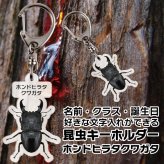 ゆうパケット発送 名入れ文字入れOK 昆虫キーホルダー ホンドヒラタクワガタ 名入れ お酒 ギフト プレゼント 誕生日 結婚祝い 結婚記念日 出産祝い 還暦祝い 男性 女性 父の日 敬老の日 ＊他の商品はこちら→