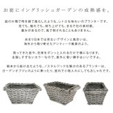 プランター おしゃれ アンティーク バスケット型 かご風 幅38.5cm 横長 植木鉢 鉢カバー マグネシウム 底穴あり 屋外 ベランダ 玄関 寄せ植え ガーデニング 石調 ホワイト 完成品 フラワーポット イングリッシュガーデン オールドバスケット