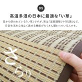 夏ラグ 夏用カーペット い草ラグ 12mmウレタン い草 ラグ 井草ラグ いぐさラグ 敷物 夏 夏用 夏用ラグ 大きい 大きめ イグサ ウレタン入り ふっくら 防音 裏張り付き 裏面不織布 折りたたみ おしゃれ ナチュラル アジアン グリーン ベージュ