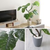 お手入れ簡単 フェイクグリーン モンステラ Lサイズ(180cm)