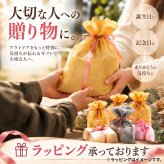 【ラッピング無料】SOTO ソト チタンマグ 450ml 600ml SOD-532 SOD-533 軽量 チタン製 折りたたみハンドル アウトドア用 キャンプ
