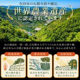 みかん 10kg 贈答用 秀品 特選 送料無料 和歌山 S～２L 混合 伊藤農園 小玉 大玉 中玉 手詰め 有田みかん 温州みかん 約70～100個 果物 柑橘贈答 ギフト 誕生日 結婚祝い 出産祝い 内祝い ギフト
