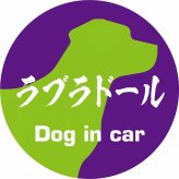 Dog in car ドッグインカー ステッカー カーステッカー ラブラドール 毛筆書体 パープルグリーン シール 煽り運転対策 カーサイン