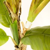観葉植物 造花 バナナ BROWN 全高約180cm 大型 フェイクグリーン 高級 本物そっくり リアル おしゃれ インテリア 人工観葉植物 アーティフィシャルグリーン 南国 リゾート オフィス 店舗 ホテル 開店祝い 室内 リビング 玄関 風水 バナナの木