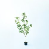 観葉植物 造花 アセビ BROWN 全高約150cm 大型 フェイクグリーン 本物そっくり おしゃれ インテリア 人工観葉植物 アーティフィシャルグリーン オフィス 店舗 ホテル 開店祝い 室内 馬酔木 あせび フェイク