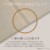 置き畳 半畳 国産 い草 簡単 和室 約82×82cm 9枚組