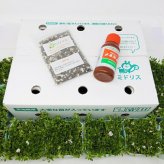 クラピア K5（薄桃）  20株 すくすくセット 完全植栽マニュアル付き 苗20ポット 肥料 活力剤 2種（有機入り一発果菜肥料、メネデール） イワダレソウ改良種 グランドカバー プランツ 雑草対策 庭 ガーデニング diy 緑化 おすすめ ガーデン 植物 多年草