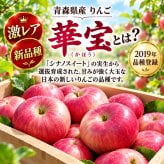 【新品種・希少】青森県産　りんご　家庭用　華宝（かほう）　大玉　10kg　24～40玉　送料無料！