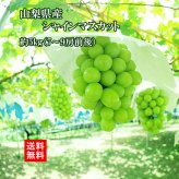 【予約商品 9月初旬出荷】シャインマスカット 山梨県産 朝採れ お中元 ギフト 山梨 5kg 7～9房 皮ごと食べられる 大粒 種なし マスカット ブドウ 葡萄 ぶどう 糖度18以上 クール便無料 送料無料