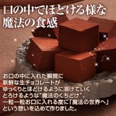 神戸フランツ 神戸魔法の生チョコレート・プレーン 【手提げ袋付】 スイーツ 洋菓子 チョコレート チョコ プレゼント ギフト 贈り物 手土産 誕生日 敬老の日