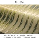 ラグ カーペット 洗える ござ 日本製 国産 丈夫 除菌スプレー対応 敷詰 敷物 アウトドア レジャー ペット 江戸間6畳（約261×352cm）