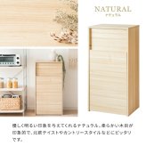 ゴミ箱 ダストボックス デザイン プッシュ式 キャスター 木製 キッチンペール ごみ箱 おしゃれ スリム ペダル キッチン カウンター 省スペース 扉付き ウッド ブラウン ナチュラル に見えない 隠し