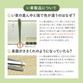 収納家具 ラック 【9枚組】 い草畳 82×82×2.5cm/枚 抗カビ 消臭 縁なし 滑り止め付き フローリングに置くだけ 取り外しOK 吸音 断熱 吸湿 ストライプ柄 和モダン 赤ちゃん リビング おしゃれ ブ ブラウン グリーン ナチュラル