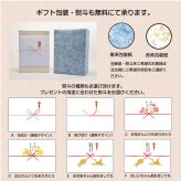 金運を呼ぶ白蛇 開運を願うガラスの縁起置物 誕生日 開店祝い お守りギフト
