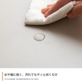 テレビ台 テレビボード TV台 ローボード フラップ扉 収納 コンパクト 大人かわいい 省スペース コード穴 可動棚 ディスプレイ リビング ホテルライク 幅110 一人暮らし ワンルーム 脚付き AV機器