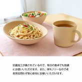 earth color バルセット40　IV