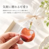 おもしろブックマーク 通販 アクリルブックマーカー リアルフルーツしおり おしゃれな栞 かわいい文房具 おもしろ雑貨 読書グッズ プチギフト 入学卒業祝い 贈り物 透明ブックマーク インスタ映え文具 癒し読書グッズ ユニーク文具 本の手帳ノート用 ギフト