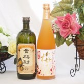 梅酒2本セット(貴梅酎スピリッツ25度(和歌山) 高千穂産梅使用熟成梅酒) 720ml×2本