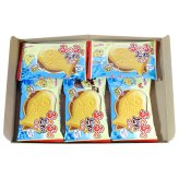 (全国送料無料)お菓子 詰め合わせ 名糖産業 ぷくぷくたい チョコ5コ入り メール便 (4902757111304sx5m)【お菓子 お試し 個包装 駄菓子 おつまみ 子ども会 イベント 問屋 販促