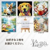 数字塗り絵 大人の塗り絵 ナンバーペイント数字入り 塗り絵 脳トレ 趣味 おうち時間 絵画キット アート 癒し プレゼント 誕生日 母の日 父の日 敬老の日 【無料ラッピング】【選べるデザイン】【送料無料】