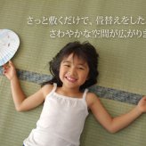 夏ラグ 夏用カーペット 純国産 い草 上敷き カーペット 糸引織 『柿田川』 江戸間6畳(約261×352cm）