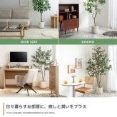【高さ170cm】光触媒人工観葉植物 オリーブ 幅70cm×奥行60cm×高さ170cm オフィス 天然木 ポリエステル 組立品 お部屋に気軽に飾れて空間を美しく彩るフェイクグリーン 本物の植物のようなリアルな質感とインテリアに馴染む風合いが魅力です