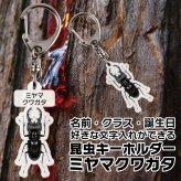 ゆうパケット発送 名入れ文字入れOK 昆虫キーホルダー ミヤマクワガタ 名入れ お酒 ギフト プレゼント 誕生日 結婚祝い 結婚記念日 出産祝い 還暦祝い 男性 女性 父の日 敬老の日 ＊他の商品はこちら→