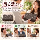 お歳暮 ギフト ナッツ お菓子 親 変わり種 おしゃれ 年配 送料無料 高級 健康食品 御中元 プレゼント ナッツ ギフト おつまみ テレビで話題！ ギフト プレゼント スイーツ 無塩のプレミアム堂島7種類ミックスナッツとドライフルーツソムリエが厳選した6種類のドライフルーツミックス 北新地・百貨店でお土産に使われています。【堂島ナッツ＆フルーツ中瓶セット】
